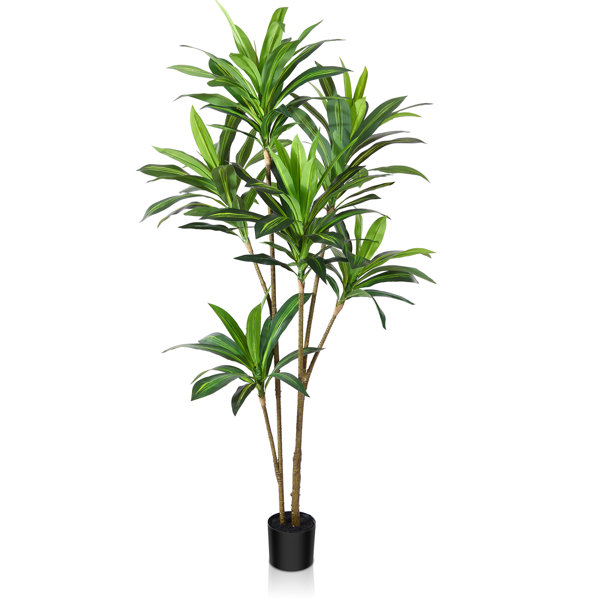 Primrue Adcock Artificial Dracaena Tree in Pot, Faux Dracaena Plant